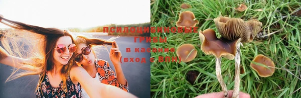 мяу мяу кристалл Лагань